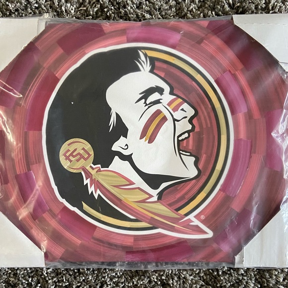 FSU Seminoles Logo Painting - Picture 2 of 4
